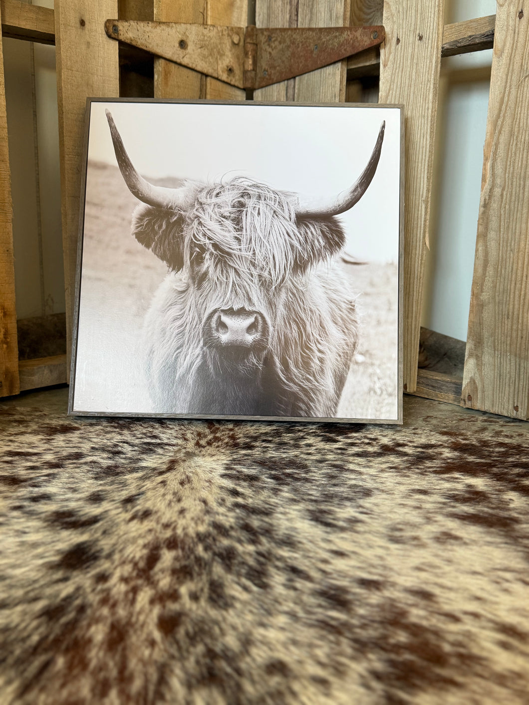 Black and White Highlander